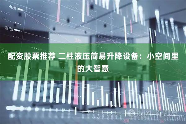 配资股票推荐 二柱液压简易升降设备：小空间里的大智慧
