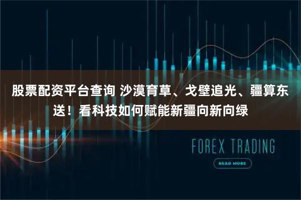 股票配资平台查询 沙漠育草、戈壁追光、疆算东送！看科技如何赋能新疆向新向绿