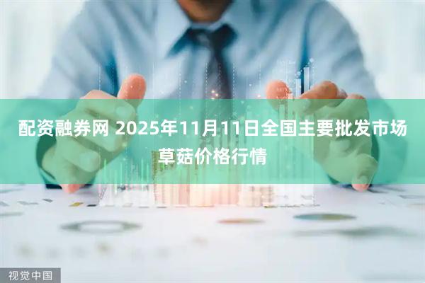 配资融券网 2025年11月11日全国主要批发市场草菇价格行情